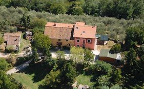 Ospitalità Rurale l'Uccelliera